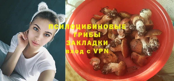 стафф Нязепетровск