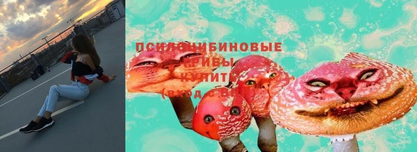 mix Абаза