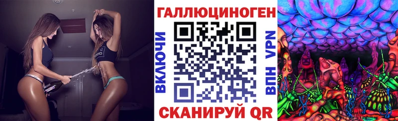 Галлюциногенные грибы Psilocybine cubensis  hydra как зайти  Великий Новгород  цена наркотик 