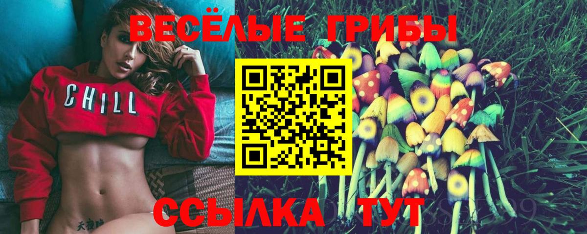 Псилоцибиновые грибы прущие грибы  Галлюциногенные грибы Magic Shrooms  Вход с VPN  Великий Новгород 